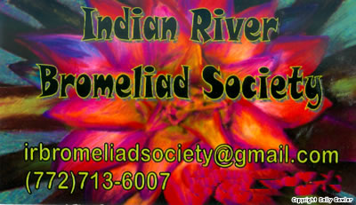 Contact Indian River Bromeliad Society